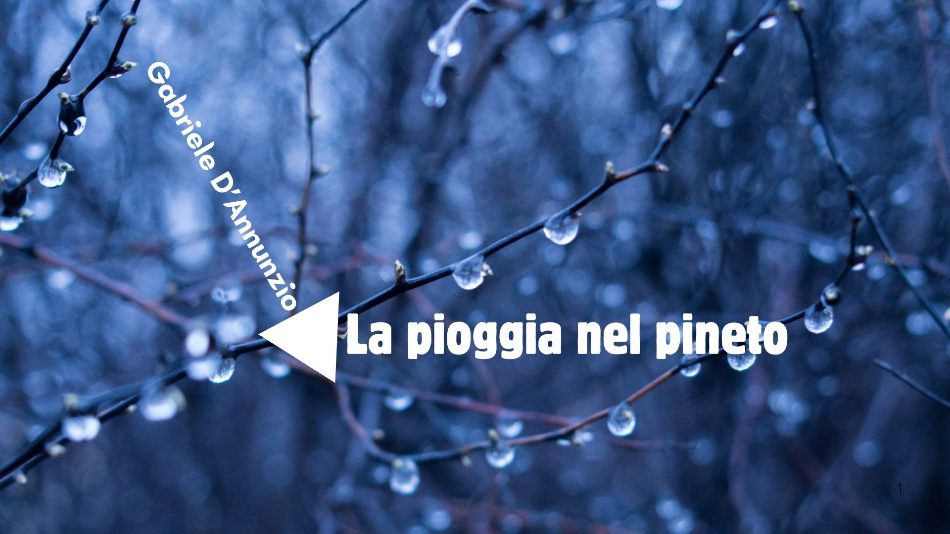 LA PIOGGIA NEL PINETO