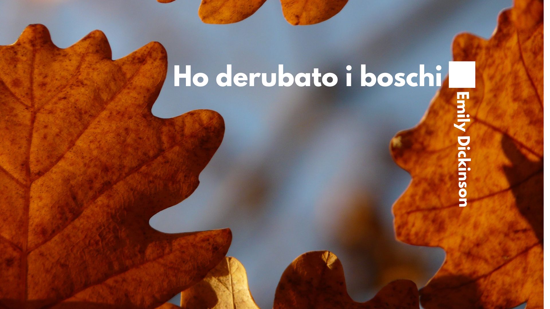 HO DERUBATO I BOSCHI