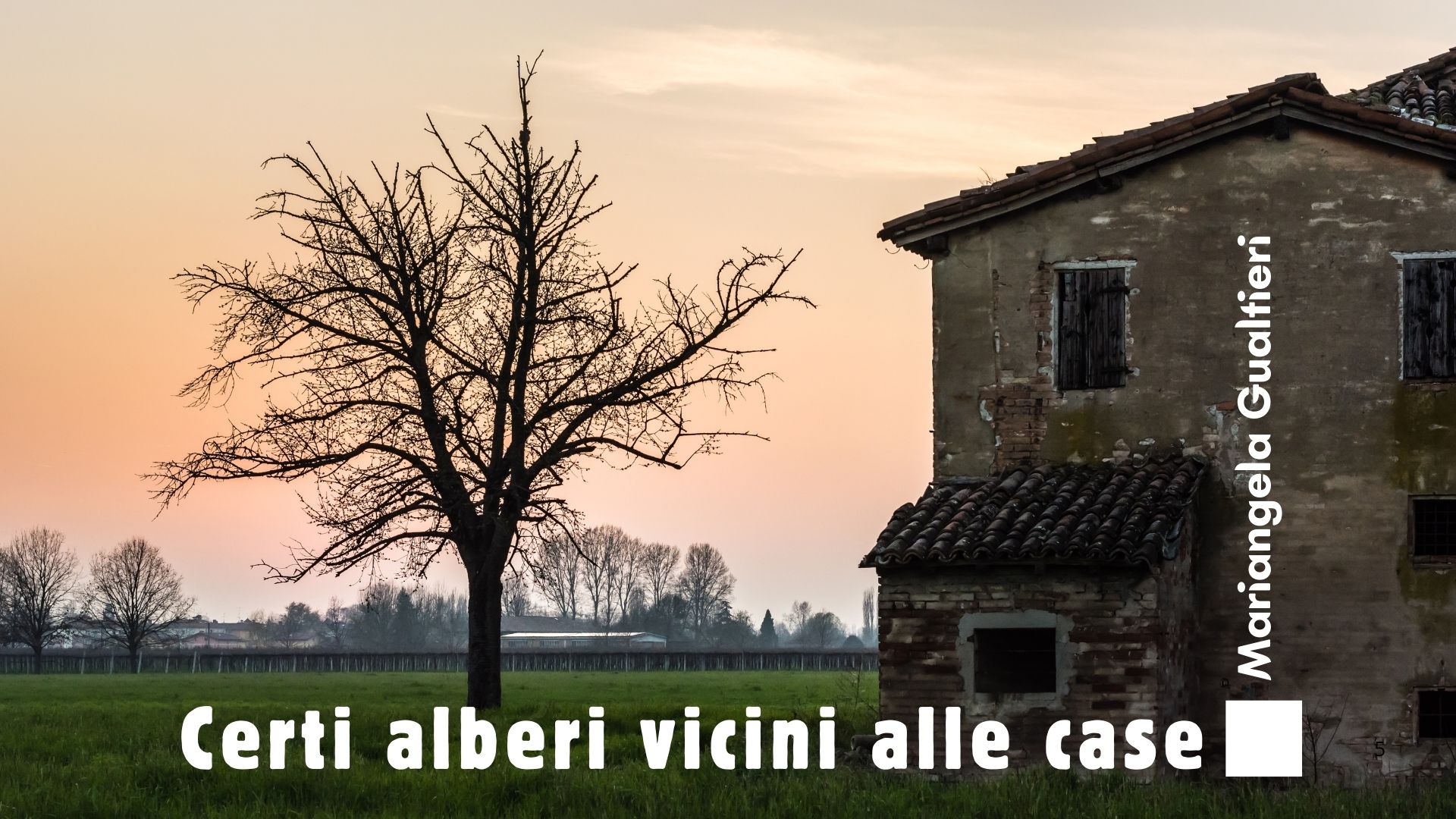 CERTI ALBERI VICINO ALLE CASE