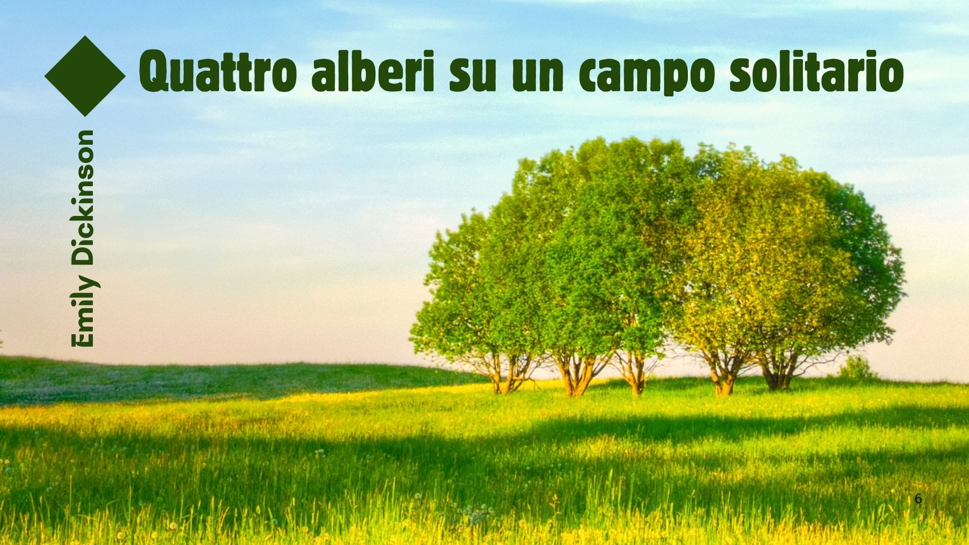 QUATTRO ALBERI